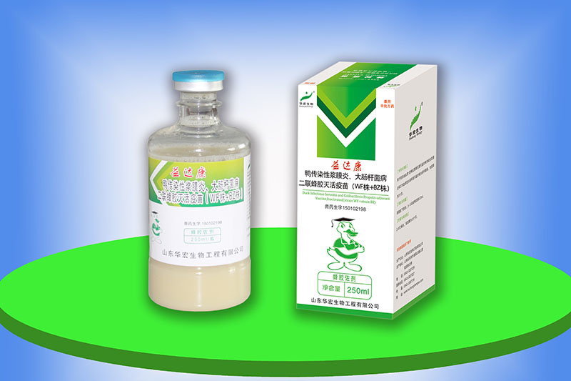鴨傳染性漿膜炎、大腸桿菌病二聯(lián)蜂膠滅活疫苗（WF株+BZ株）